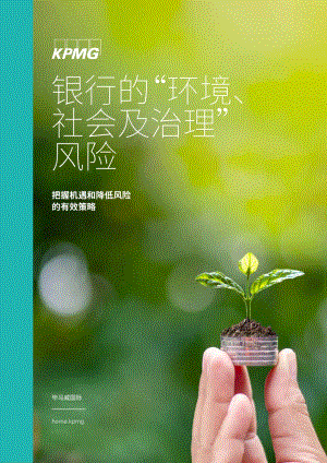 银行的“环境、社会及治理”风险.pdf
