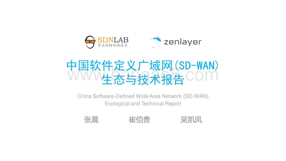 中国软件定义广域网（SD-WAN）生态与技术报告.pdf_第1页