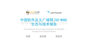 中国软件定义广域网（SD-WAN）生态与技术报告.pdf