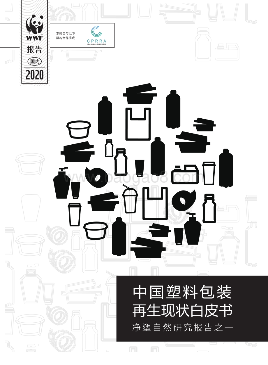 中国塑料包装再生现状白皮书.pdf_第1页