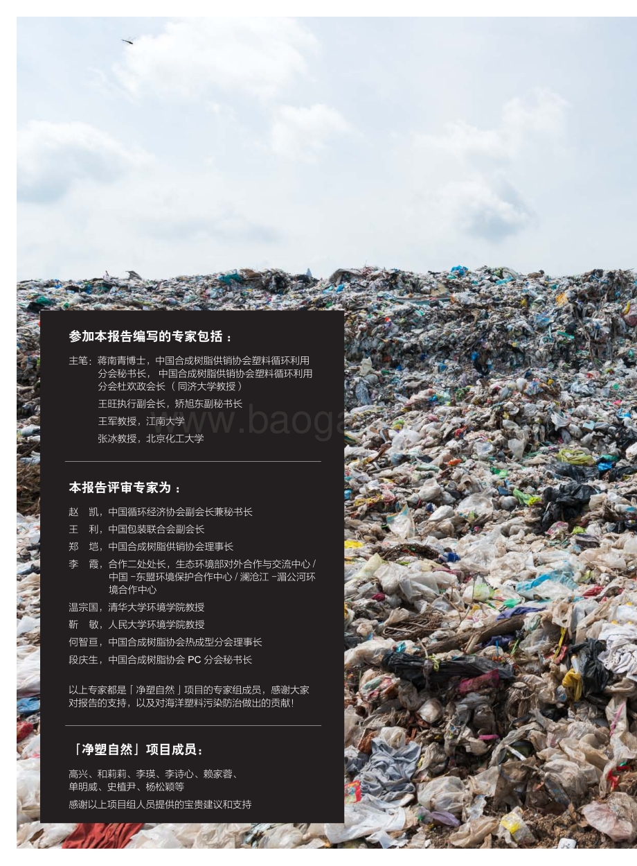 中国塑料包装再生现状白皮书.pdf_第2页