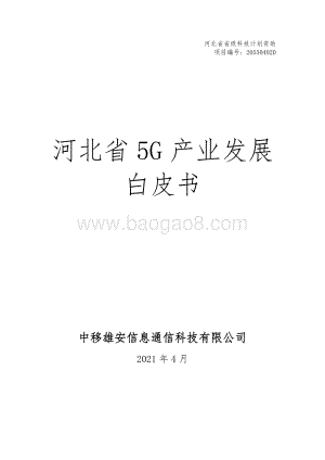 河北省5G产业发展白皮书.pdf