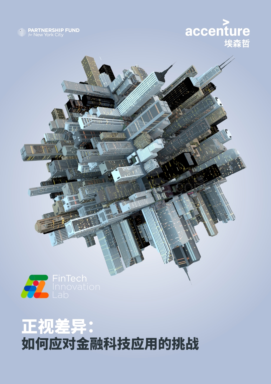 正视差异：如何应对金融科技应用的挑战.PDF_第1页