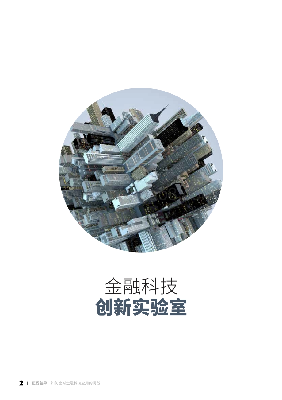 正视差异：如何应对金融科技应用的挑战.PDF_第2页