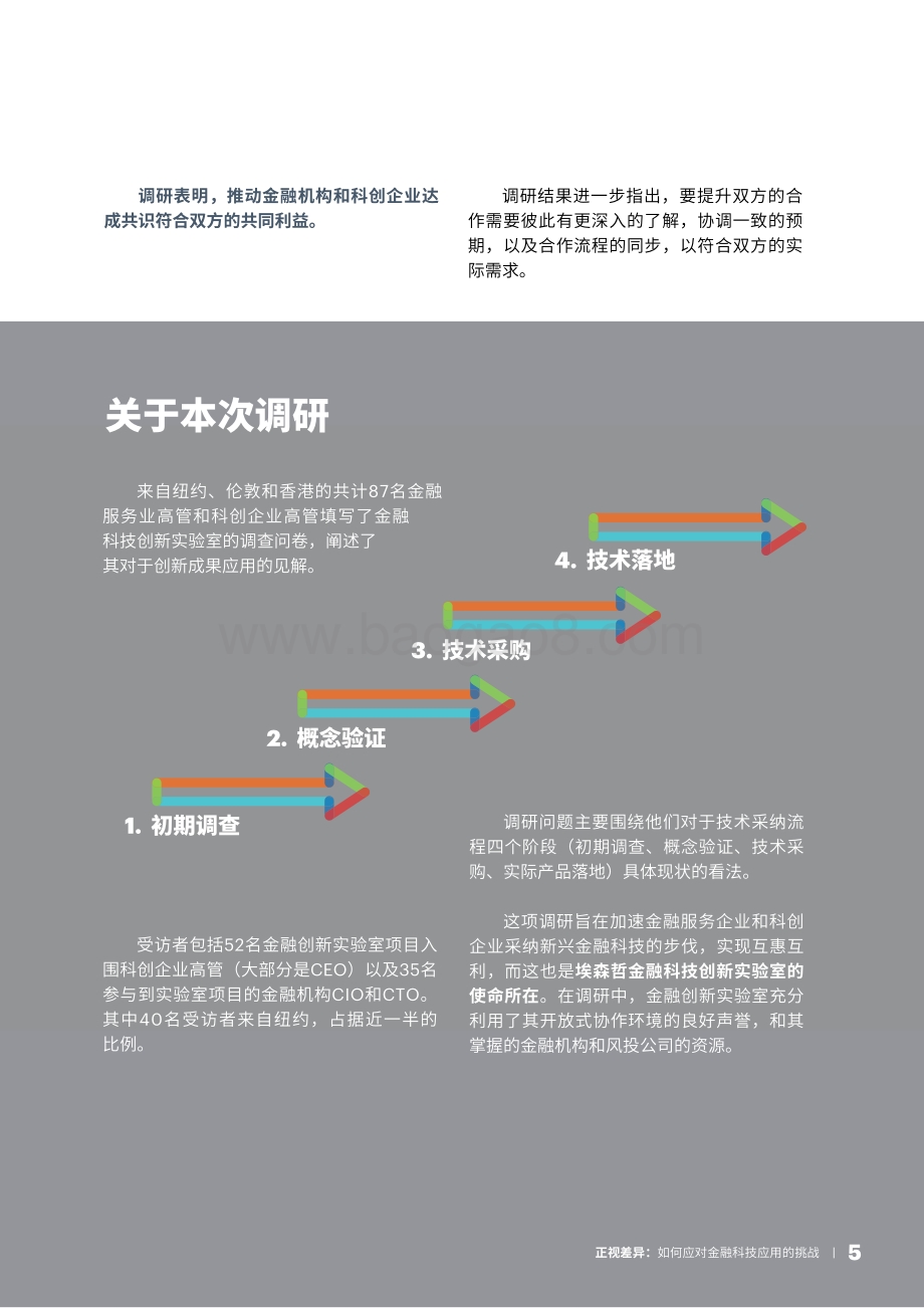 正视差异：如何应对金融科技应用的挑战.PDF_第5页
