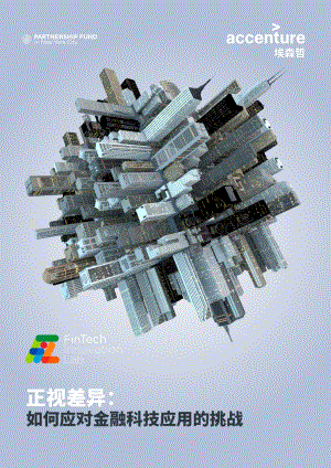 正视差异：如何应对金融科技应用的挑战.PDF