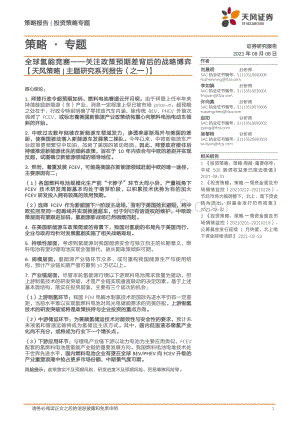 全球氢能竞赛：关注政策预期差背后的战略博弈.pdf