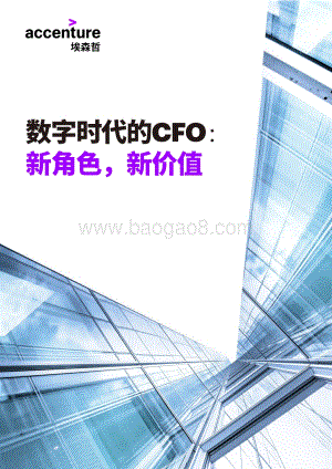 数字时代的CFO：新角色新价值.pdf