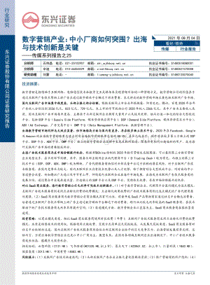 数字营销产业：中小厂商如何突围？出海与技术创新是关键.pdf