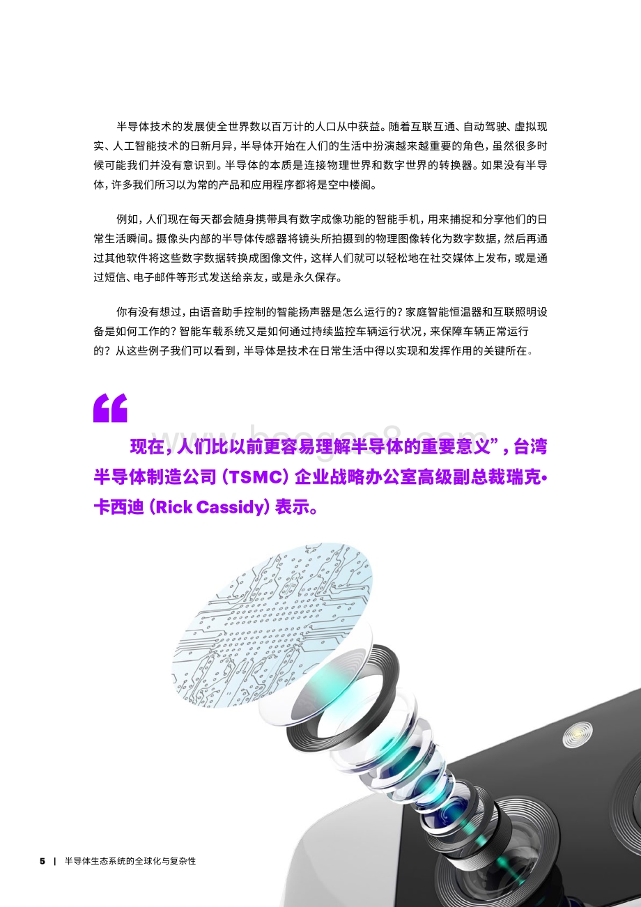 半导体生态系统的全球化与复杂性.pdf_第5页