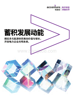 蓄积发展动能：顺应多元能源体系推动价值与增长开创电力企业光明未来(1).pdf