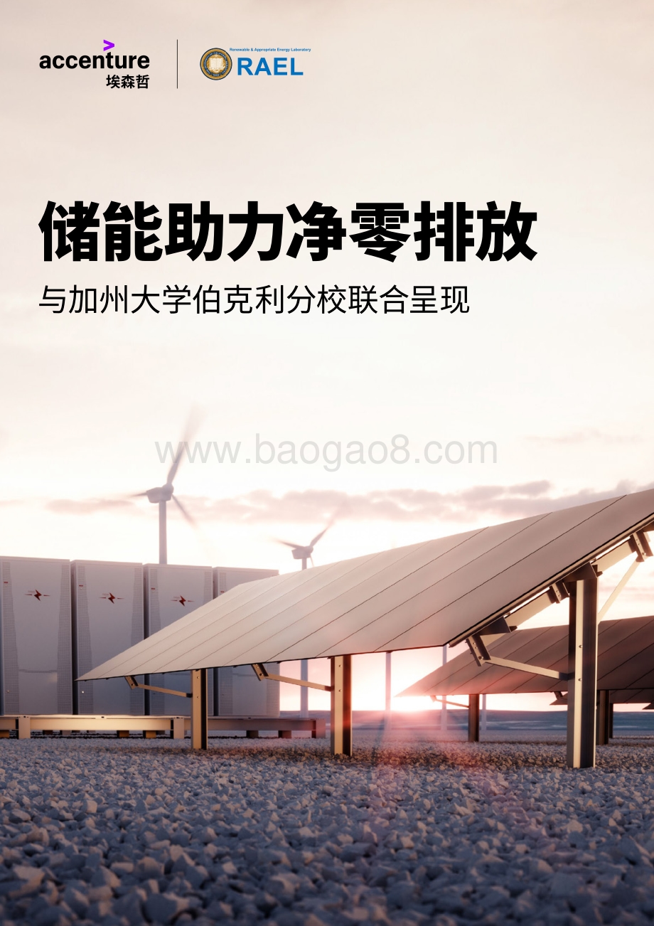 储能助力净零排放.pdf_第1页
