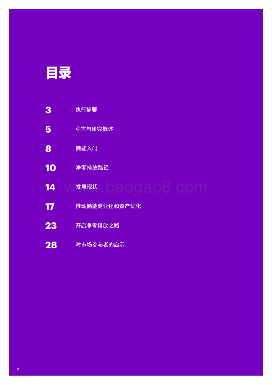 储能助力净零排放.pdf_第2页