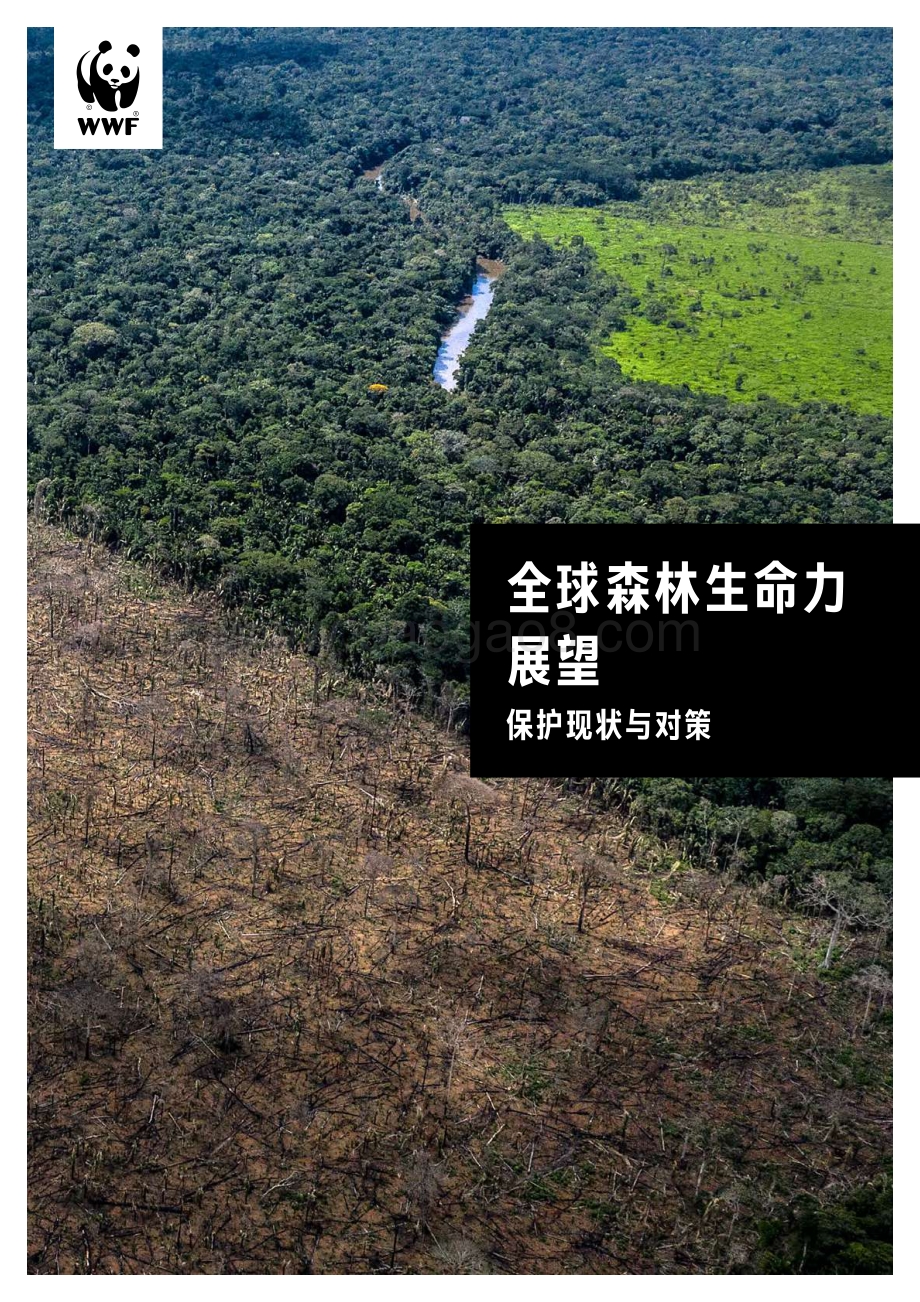 全球森林生命力展望：保护现状与对策.pdf_第1页
