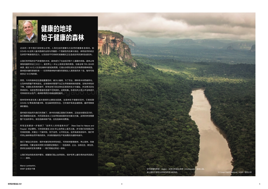 全球森林生命力展望：保护现状与对策.pdf_第3页