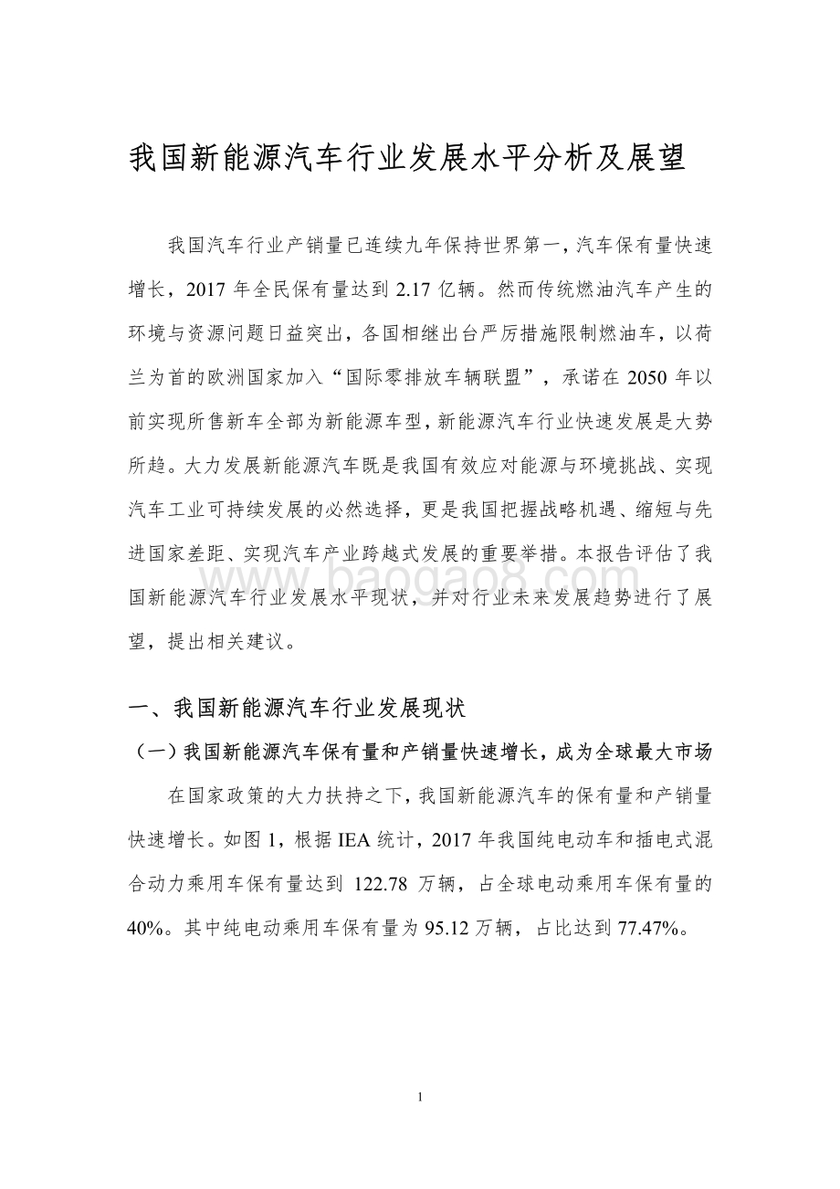 我国新能源汽车行业发展水平分析及展望.pdf_第3页
