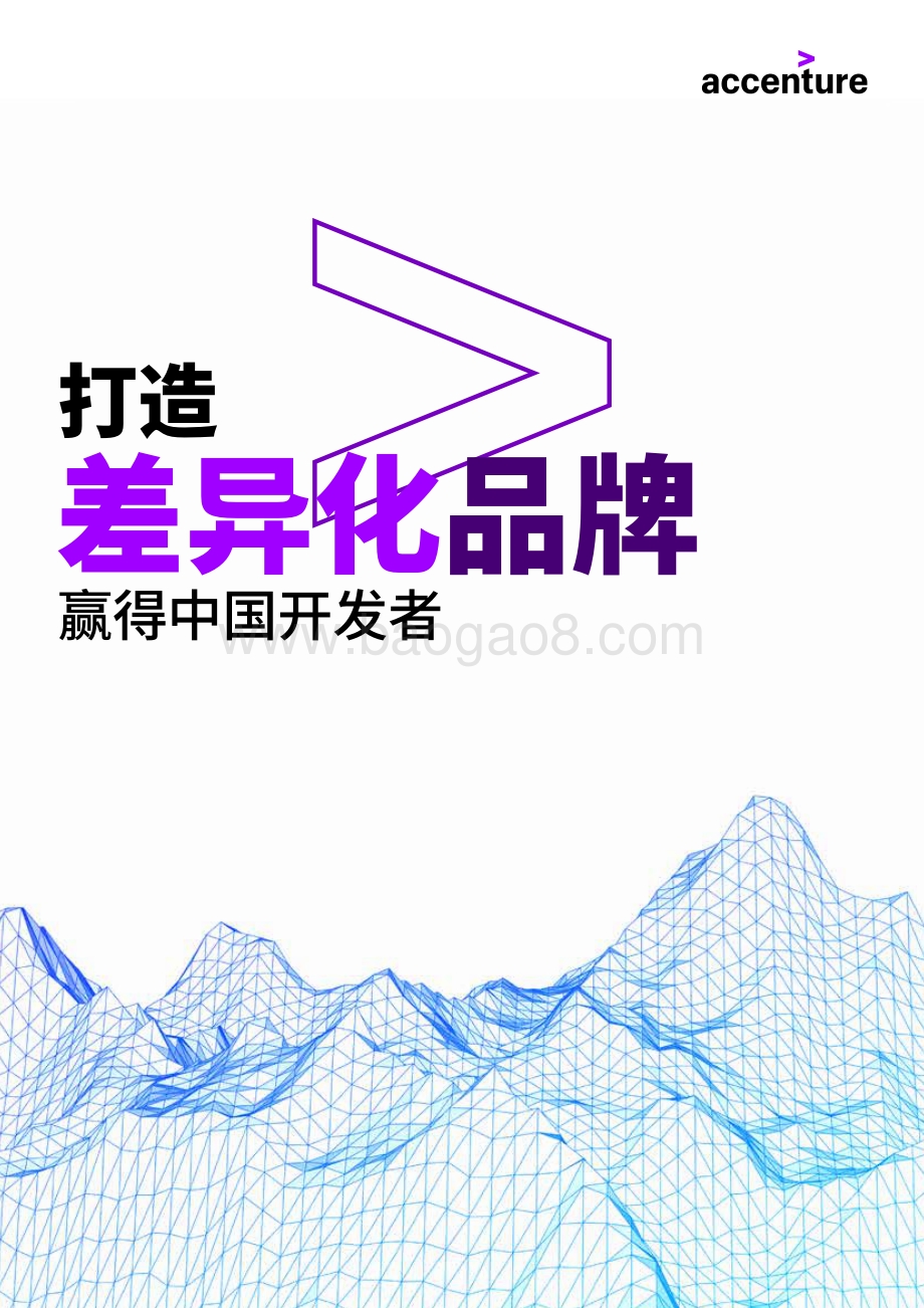 打造差异化品牌：赢得中国开发者.pdf_第1页