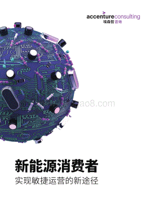 新能源消费者：实现敏捷运营的新途径.pdf