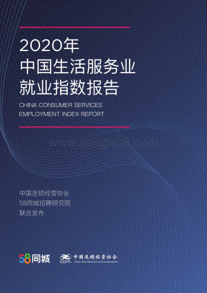 2020年中国生活服务业就业指数报告.pdf