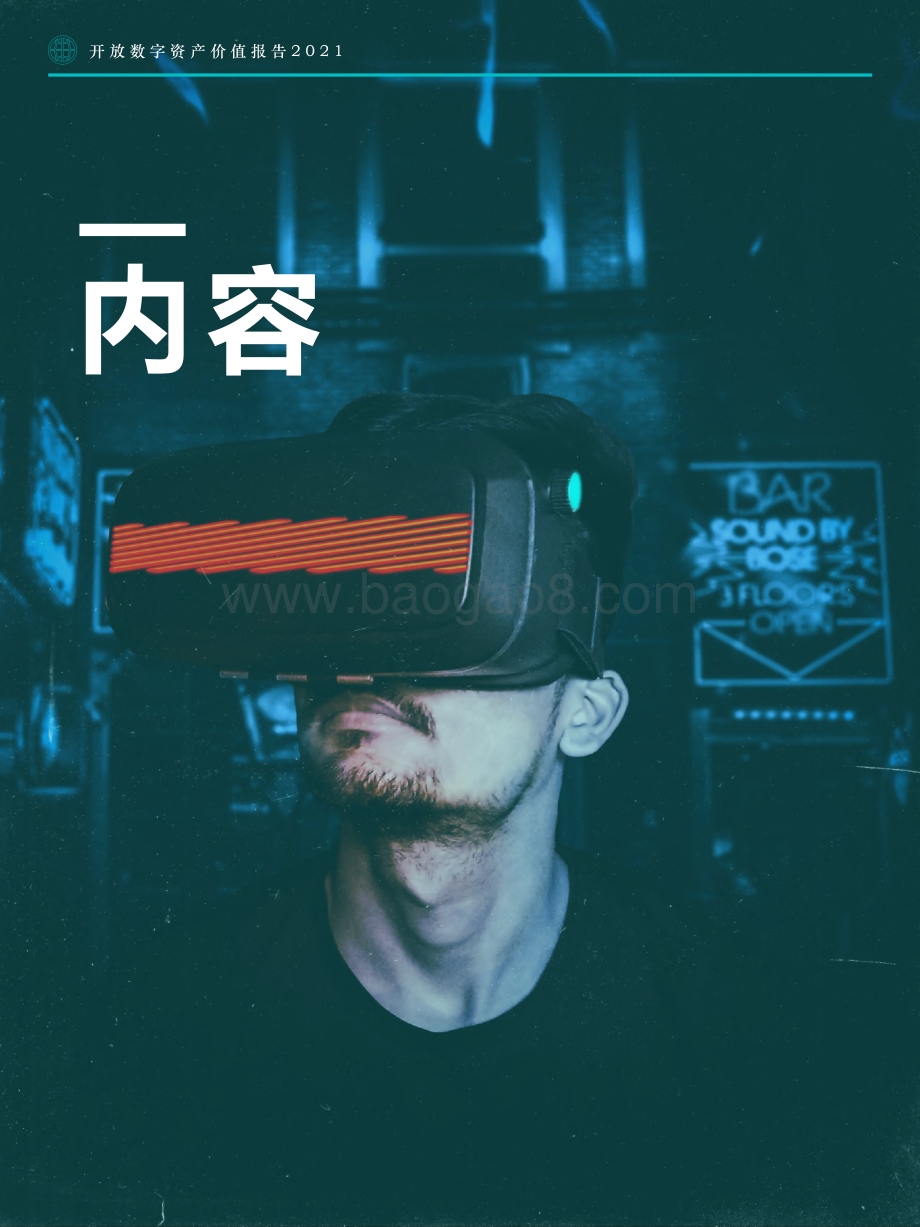 2021开放数字资产价值报告.pdf_第2页