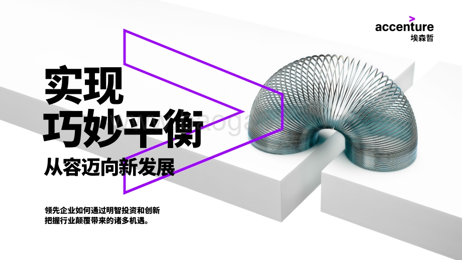 实现巧妙平衡：从容迈向新发展.PDF_第1页