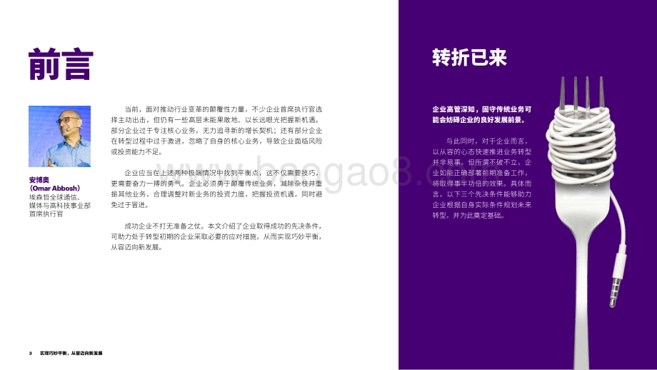 实现巧妙平衡：从容迈向新发展.PDF_第3页