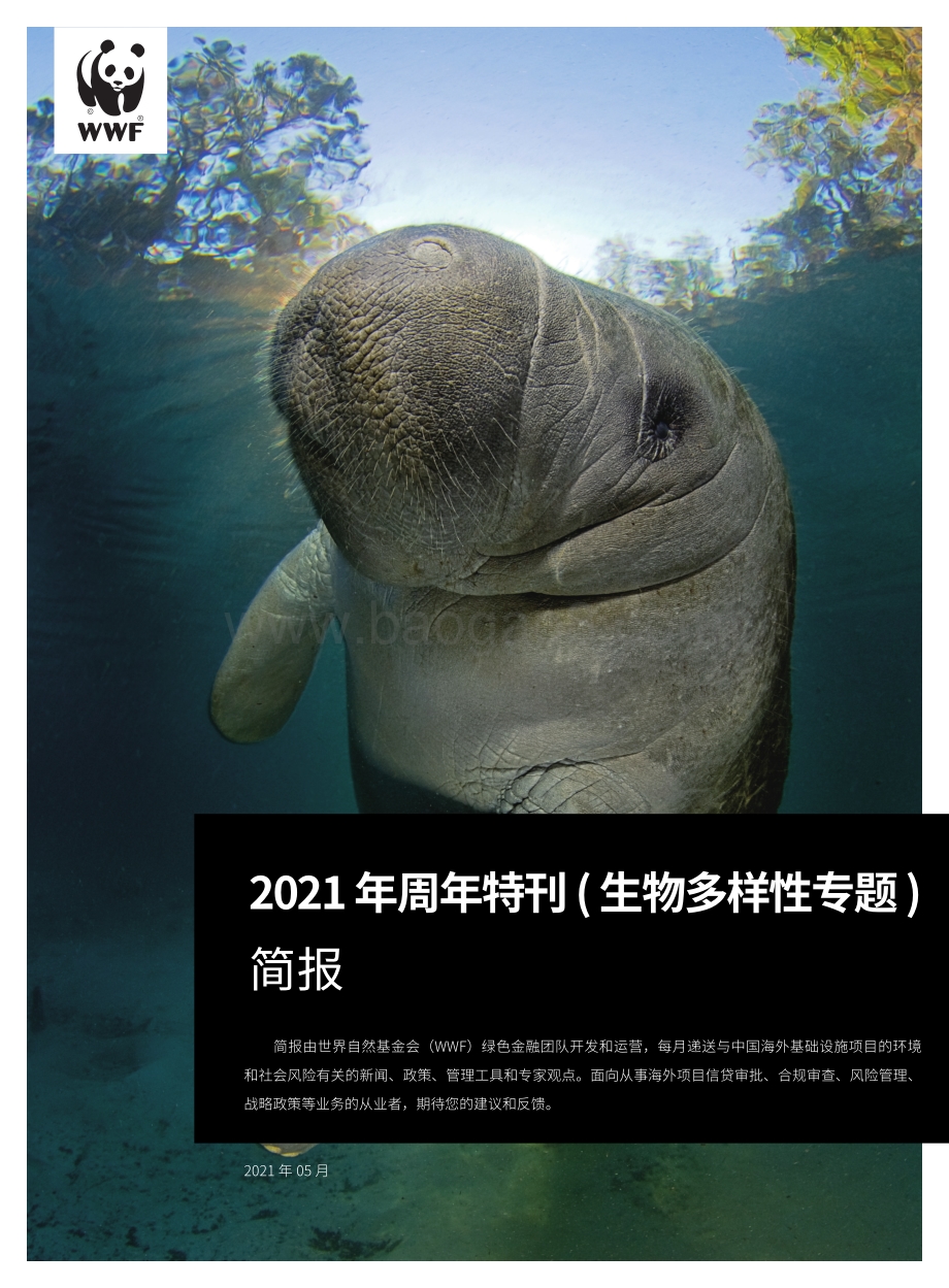 2021年周年特刊（生物多样性专题）简报.pdf_第1页