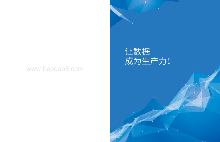 让数据成为生产力.pdf_第2页