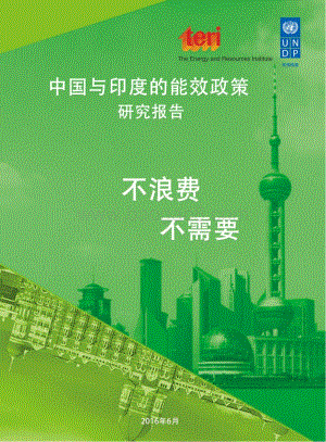 中国与印度的能效政策研究报告.pdf