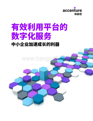 有效利用平台的数字化服务：中小企业加速成长的利器.pdf