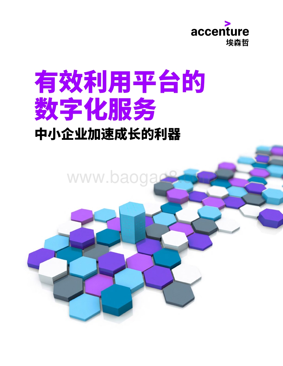 有效利用平台的数字化服务：中小企业加速成长的利器.pdf_第1页