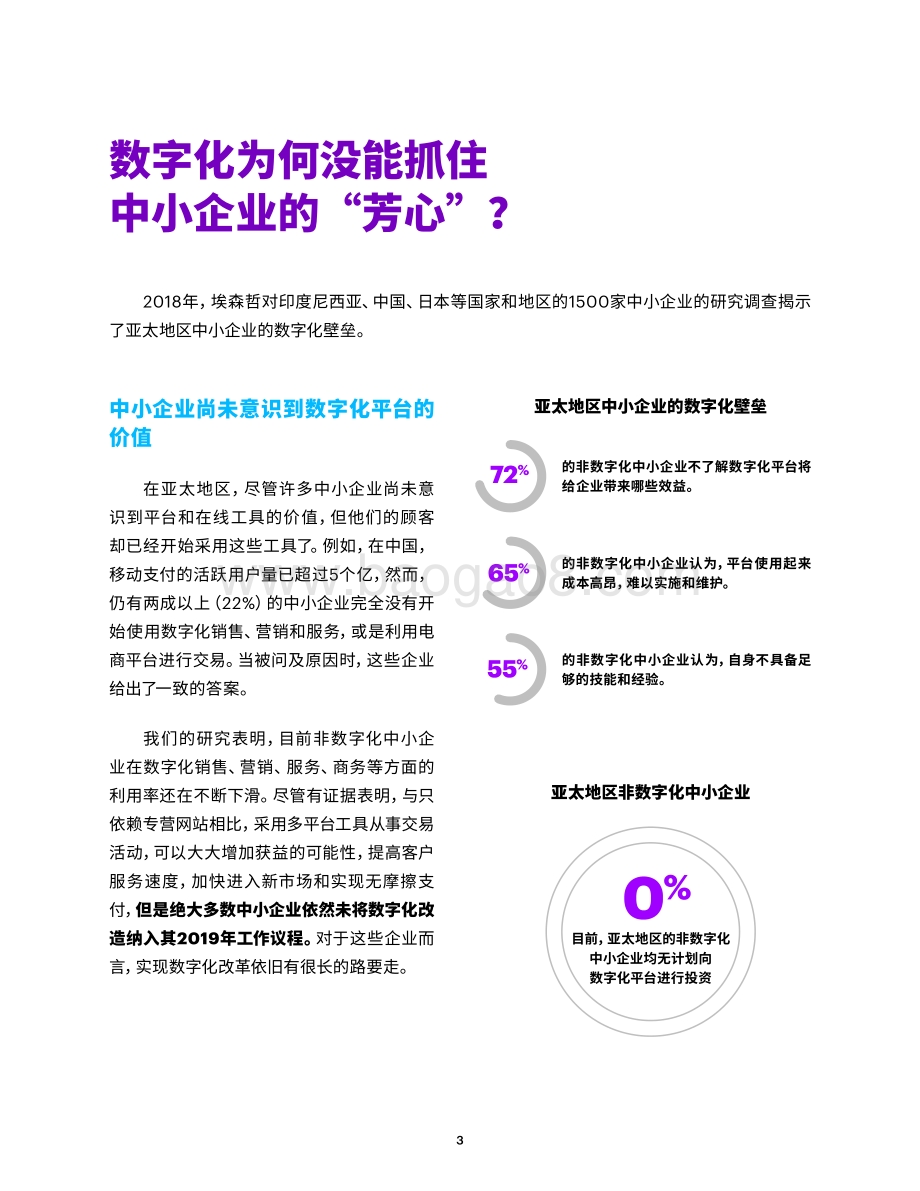 有效利用平台的数字化服务：中小企业加速成长的利器.pdf_第3页