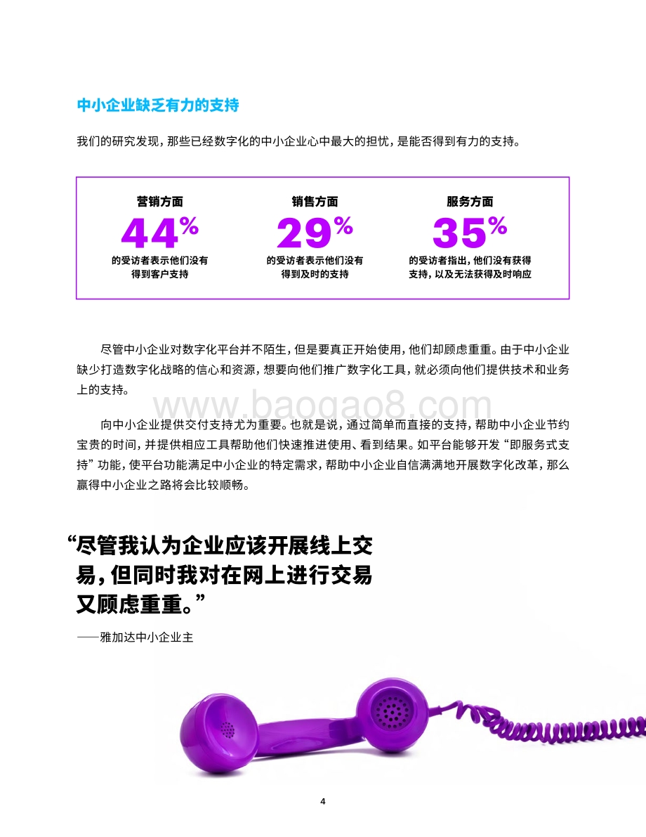 有效利用平台的数字化服务：中小企业加速成长的利器.pdf_第4页
