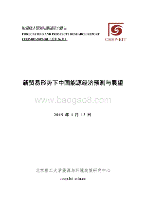 新贸易形势下中国能源经济预测与展望.pdf
