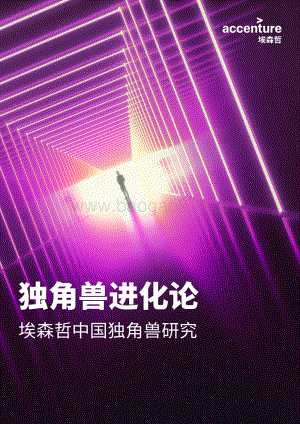 埃森哲中国独角兽研究：独角兽进化论.pdf