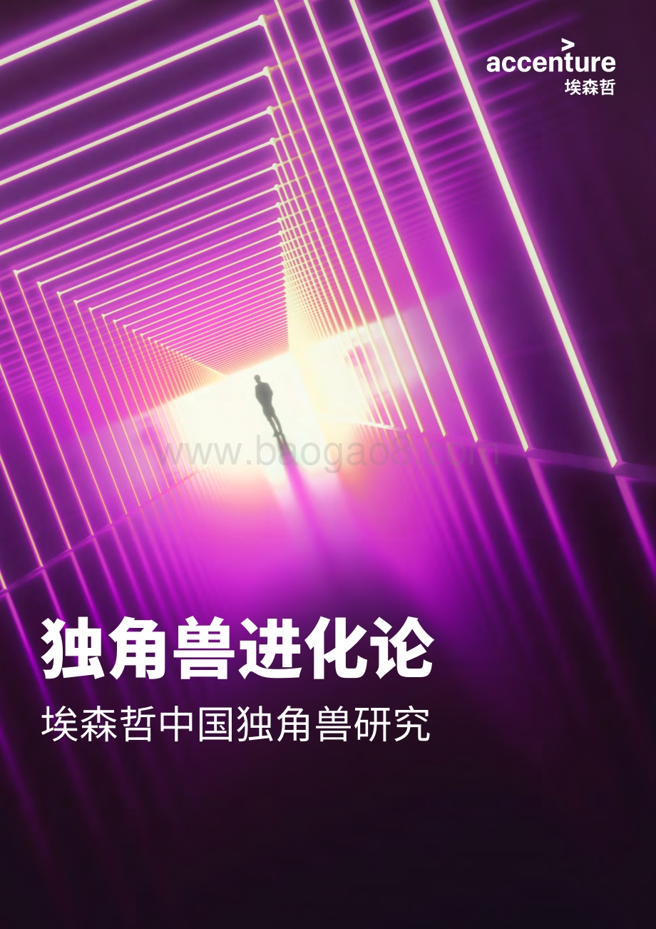 埃森哲中国独角兽研究：独角兽进化论.pdf_第1页