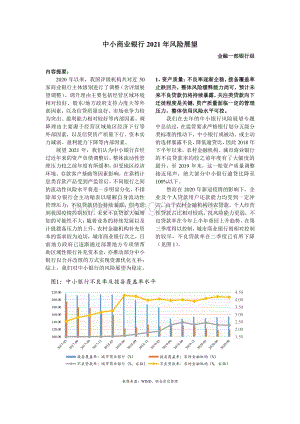 中小商业银行2021年风险展望.pdf