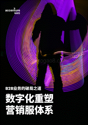 B2B业务的破局之道：数字化重塑营销服体系.pdf