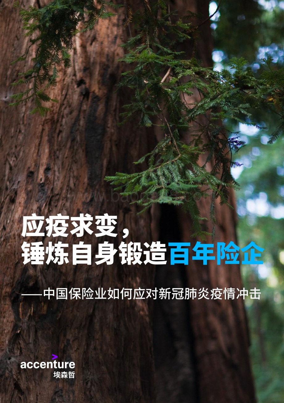 应疫求变锤炼自身锻造百年险企：中国保险业如何应对新冠肺炎疫情冲击.pdf_第1页