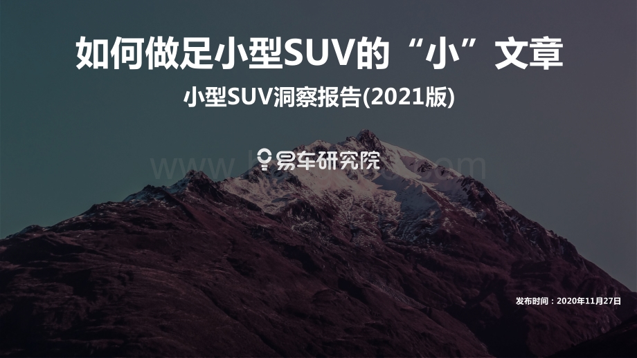 2021版小型SUV洞察报告.pdf_第1页