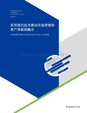 采用现代技术推动市场营销和客户体验相融合.pdf