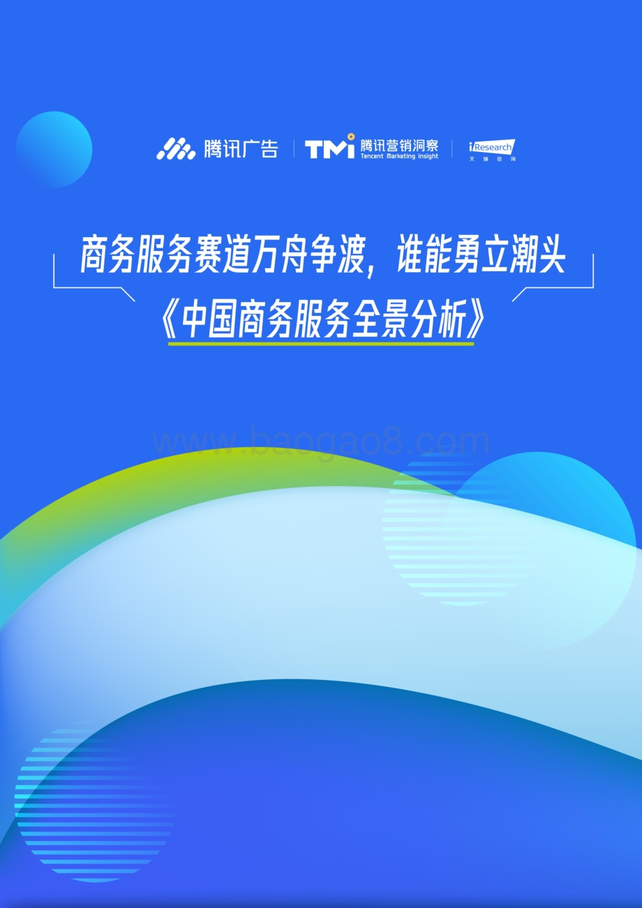 中国商务服务全景分析.pdf_第1页