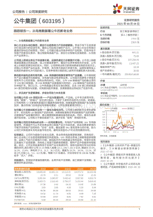 公牛集团跟踪报告一：从电商数据看公牛的新老业务.pdf
