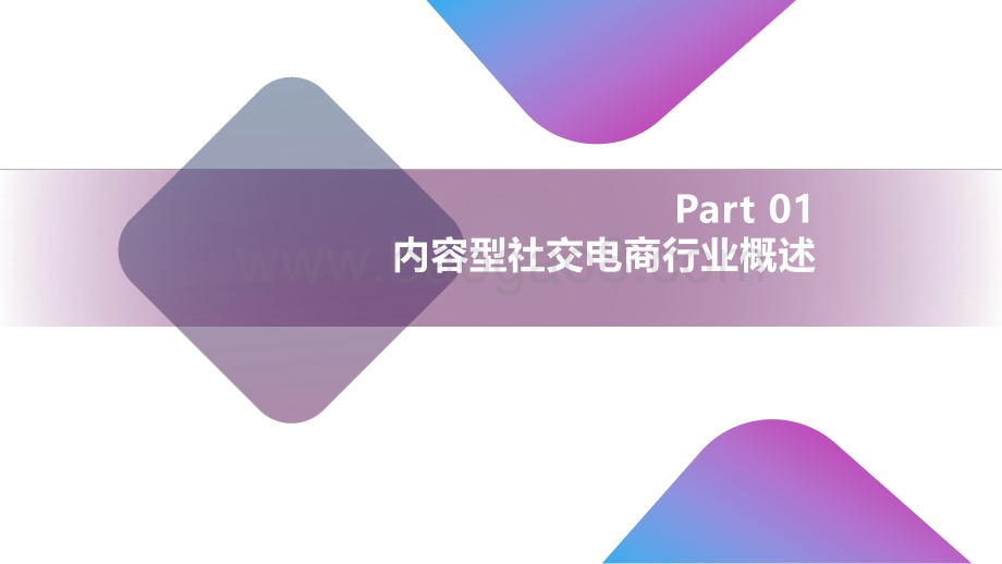 2021年上半年内容型社交电商行业分析报告.pdf_第3页