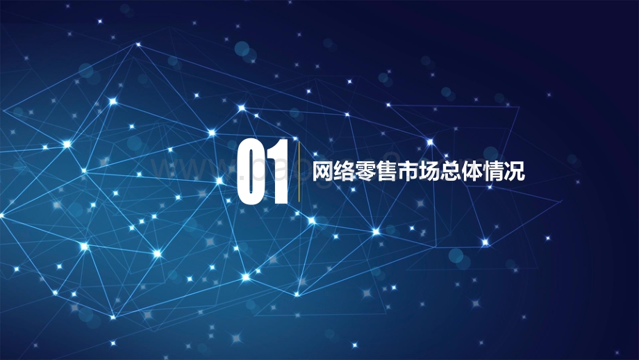 2020-2021网络零售市场发展分析报告.pdf_第2页