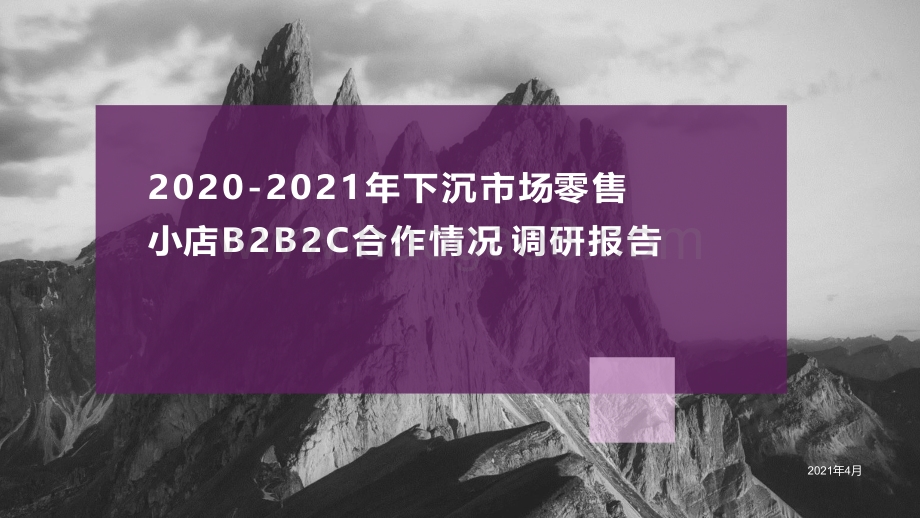 2020-2021年下沉市场零售小店B2B2C合作情况调研报告.pdf_第1页