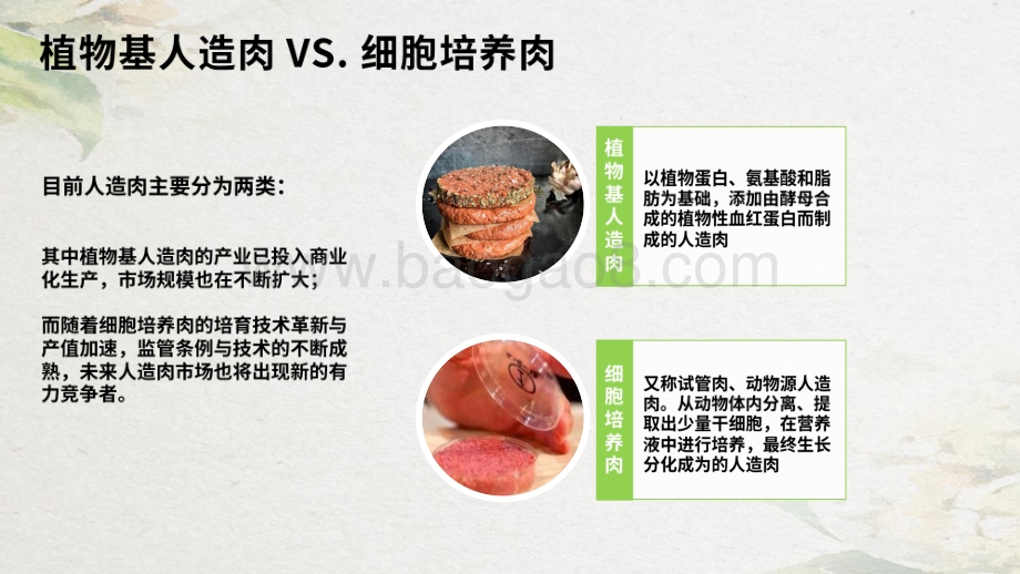 2020-2021人造肉中国趋势洞察报告.pdf_第4页