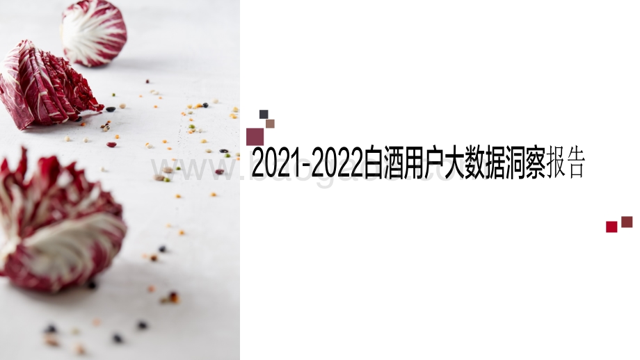 2021-2022白酒用户大数据洞察报告.pdf_第1页