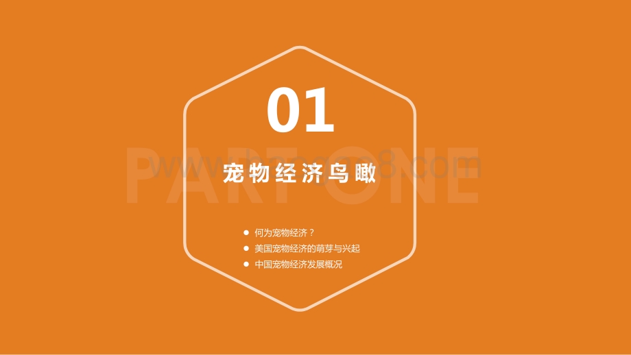 2021-2022宠物经济发展趋势研究报告.pdf_第3页