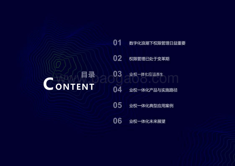 2021-2022业权一体化研究报告.pdf_第3页